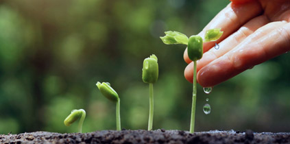 Продвижение нового сайта